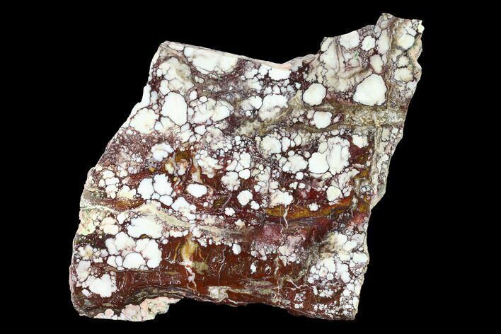 Polished Wild Horse Magnesite Slab - Arizona #146446